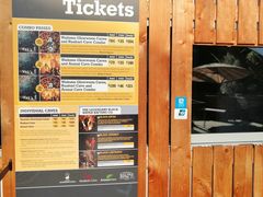 -怀托摩萤火虫洞