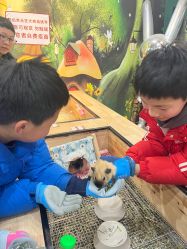 -神奇动物撸宠馆·羊驼·小浣熊·异宠(豫园店)