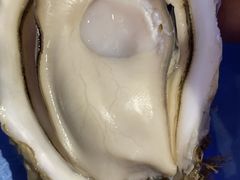 -千岛蚝高压锅生蚝·人参火锅(白云万达店)