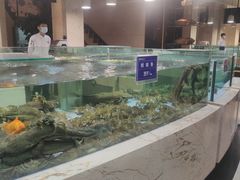 水产区-旺顺阁海鲜广场(亚运村店)