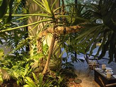 -J Create城市露营咖啡·简餐·宠物(上海动物园店)