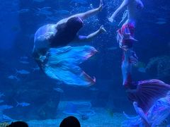 -左海海底世界