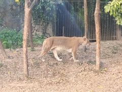 -深圳野生动物园