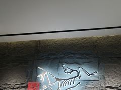 -ARC'TERYX始祖鸟(北京王府中环店)