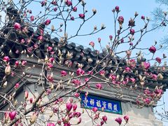 -红螺寺
