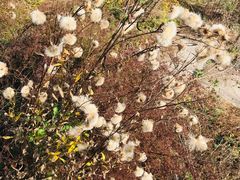 -帽儿山国家森林公园