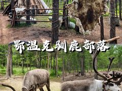 -呼伦贝尔大草原