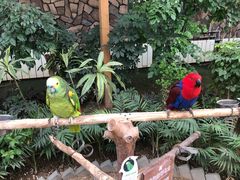 -南宫五洲植物乐园