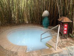 -森波拉火山温泉