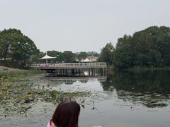 -新江湾城公园