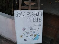 -海边的猫和咖啡馆
