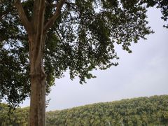 -河南省黄河迎宾馆