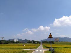 -光明小镇欢乐田园
