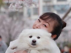 -高东镇樱花园