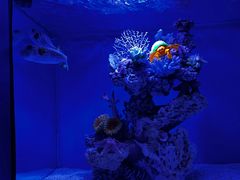 -上海海昌海洋公园