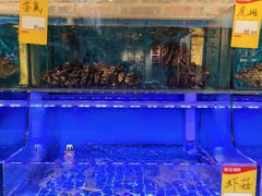 -百年银屏蚝烙·潮汕菜·非遗(乐山店)