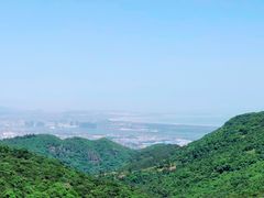 -大姆山草场
