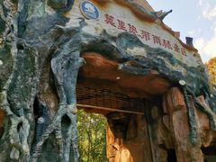 -桤木河湿地公园