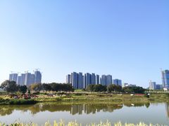 -光明小镇欢乐田园