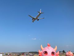 -空港花田景区
