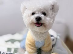 -南京宠物基地·宠物狗宠物猫售卖(南京店)