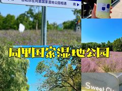 -同里国家湿地公园