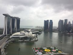-新加坡丽思卡尔顿美年酒店