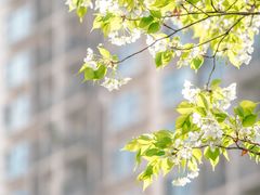 -红星桥(地铁站)