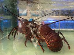 -青石桥市场北1-27号