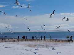 -青海湖国家重点风景名胜区