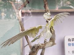 -成都动物园