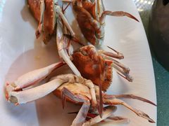 清蒸正蟹-舌尖上·霞浦滩涂海鲜·新闽菜(总店)