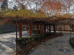 -西安市长乐公园