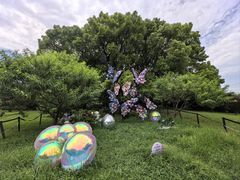 -上海共青森林公园