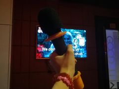 -新星KTV(友谊国际大厦店)