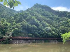 -龙湾潭国家森林公园