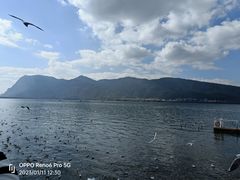 -海埂大坝
