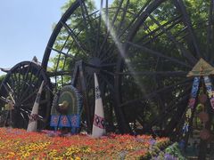 -呀路古热带植物园