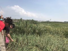 -上海怡沁园度假酒店