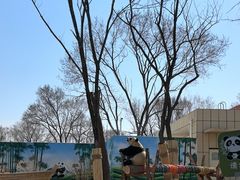 -秦皇岛野生动物园