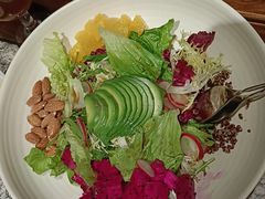 橄榄油黑醋大拌菜-真地道京味府·鲜橙烤鸭·北京菜(朝阳公园·甜水园店)