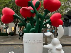 -深圳湾万象城(南山店)