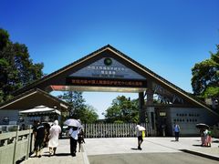 -中国大熊猫保护研究中心雅安碧峰峡基地