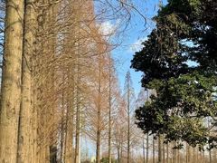-蜀绣公园