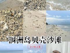 -贝壳沙滩