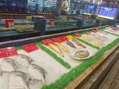-骏莱海鲜鱼港(五角场店)