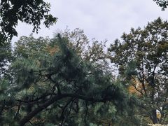 -拙政园