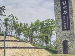 -黄陂区野村谷景区