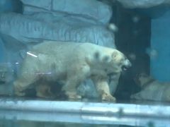 -泉城欧乐堡海洋极地世界