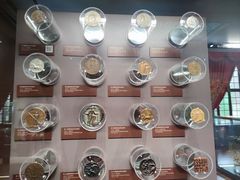 -上海体育博物馆